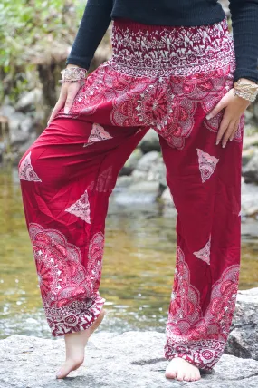 Burgundy Mantra Harem Pants