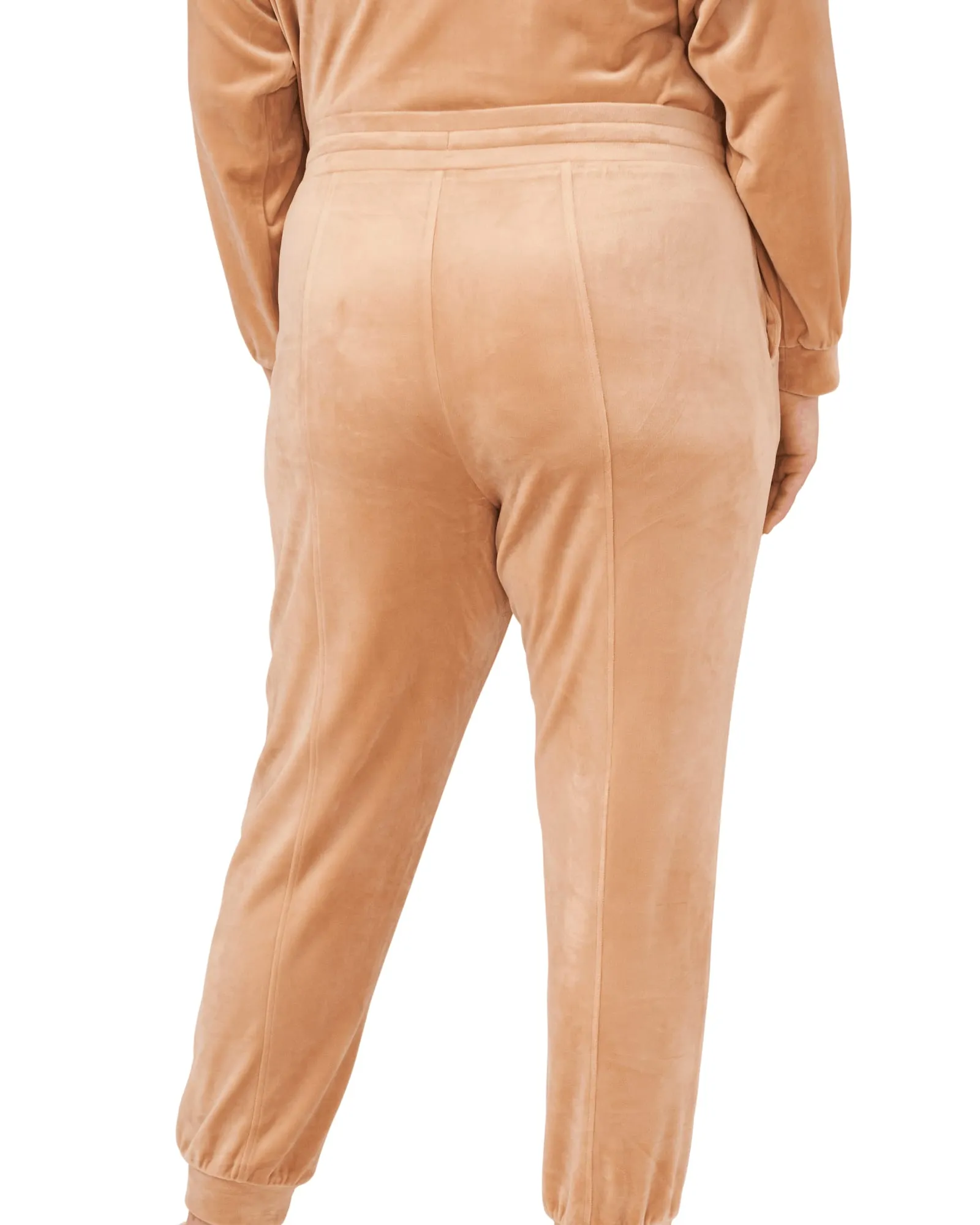 Evelyn Velour Drawstring Joggers | CAPPUCCINO