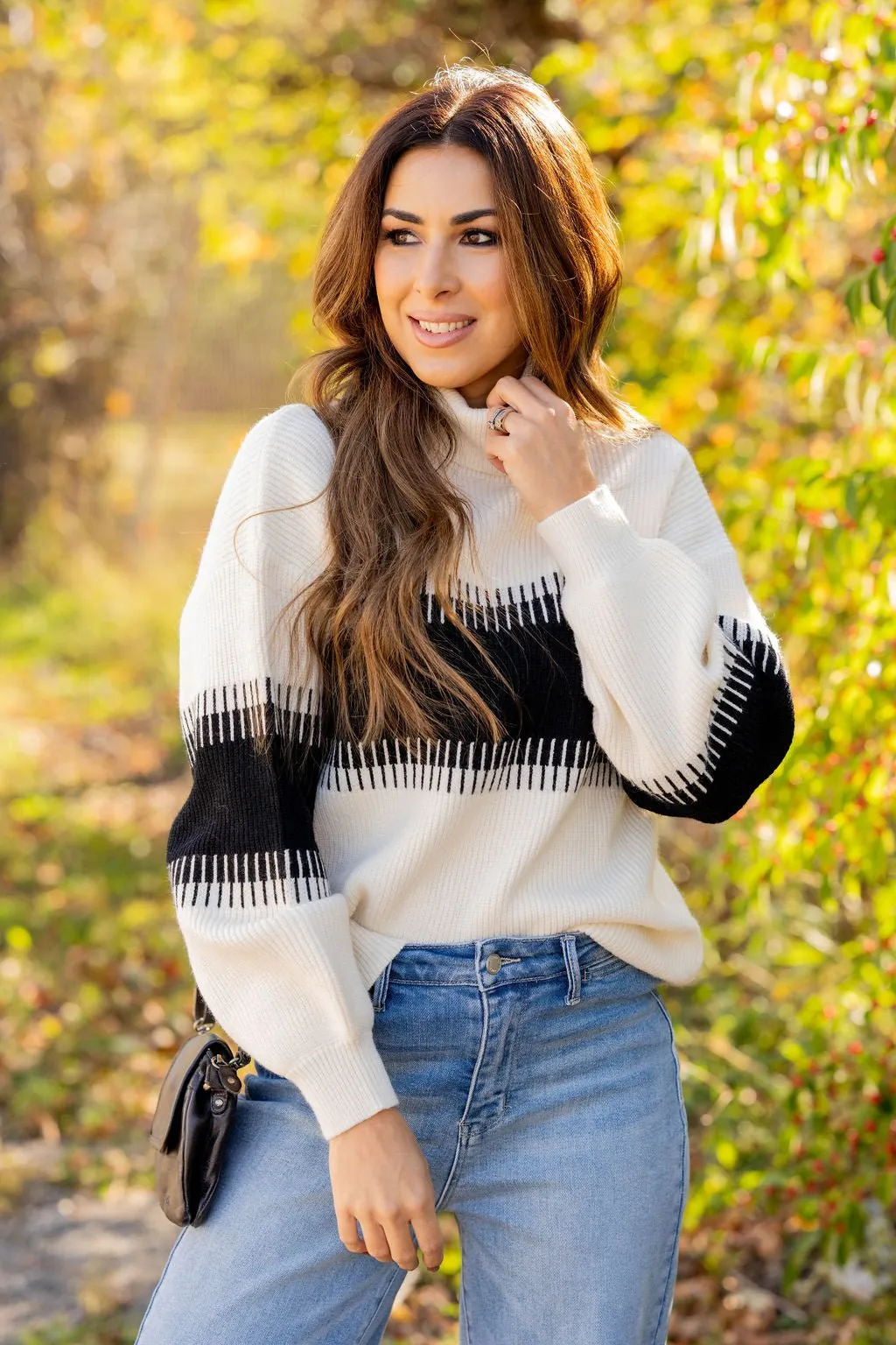 Lined Stripe Relaxed Sleeve Turtleneck Sweater